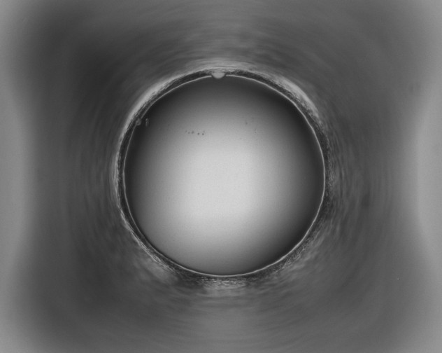 X0000116561183200912171403