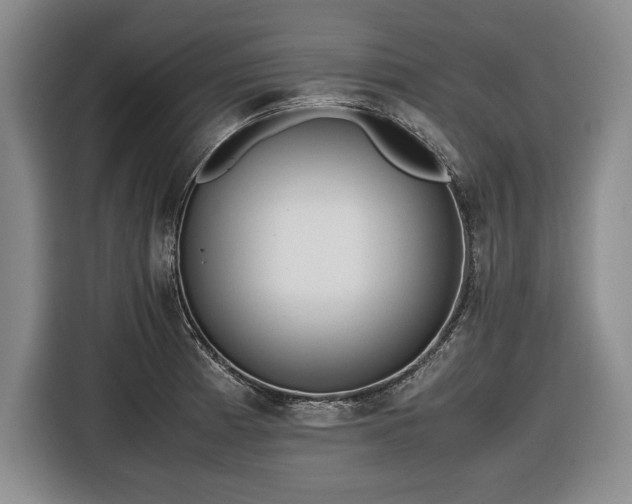 X0000116561185200912171403