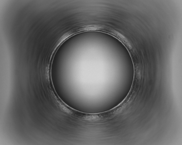 X0000116561186200912171403