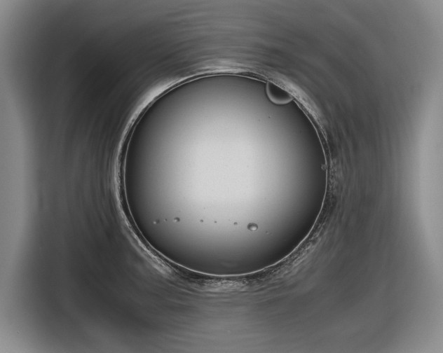 X0000116561187200912171403