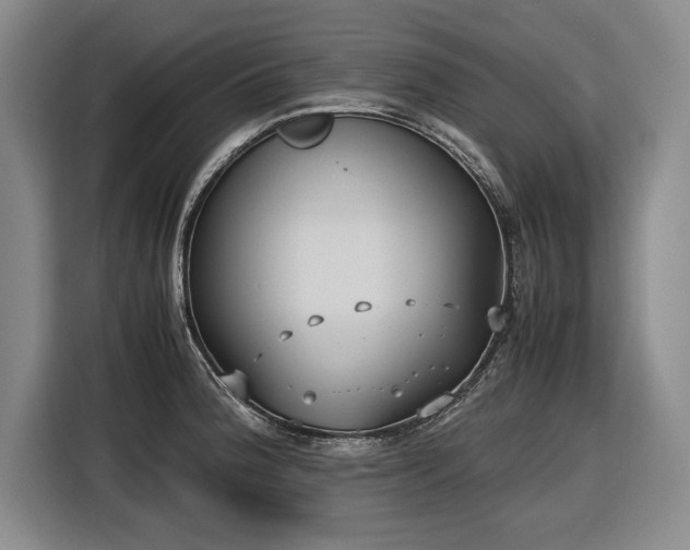 X0000116561188200912171403