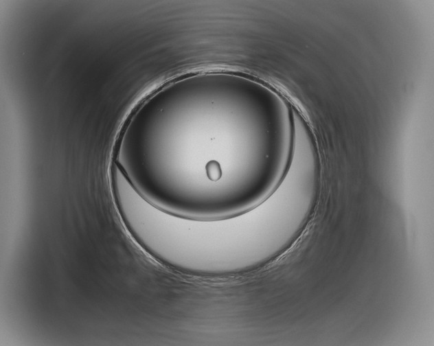 X0000116561189200912171403