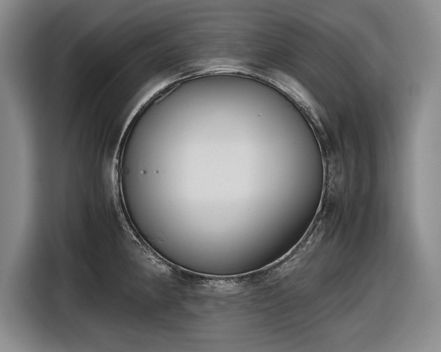 X0000116561190200912171403