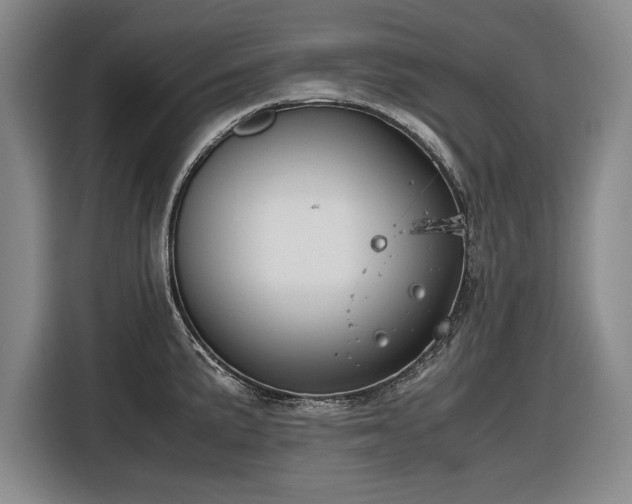 X0000116561191200912171403