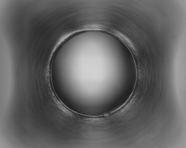 X0000116561192200912171403