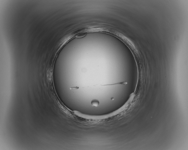 X0000116561193200912171403