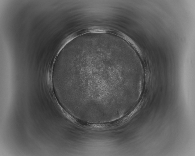 X0000116561194200912171403