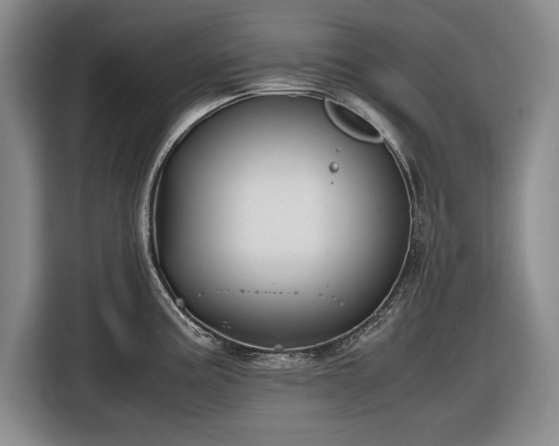 X0000116561195200912171403