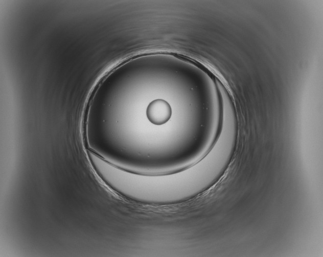 X0000116561197200912171403