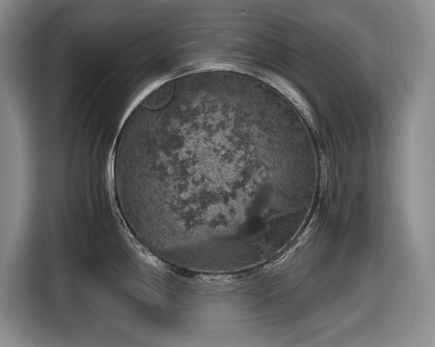 X0000116561198200912171403