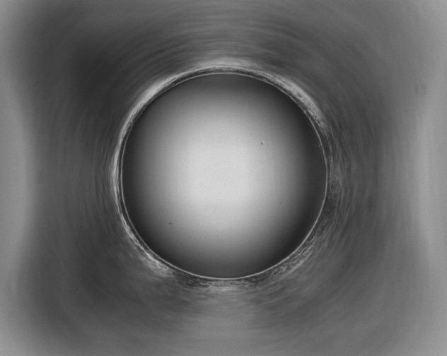 X0000116561199200912171403