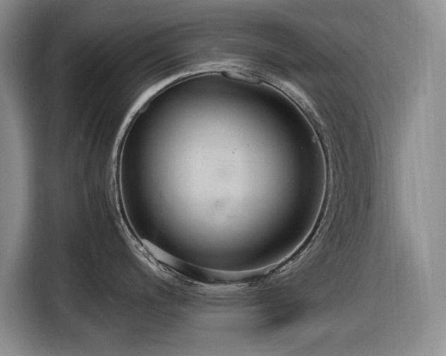 X0000116561200200912171403