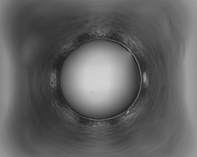 X0000116561203200912171402