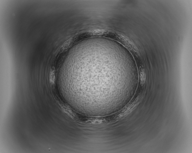 X0000116561204200912171402