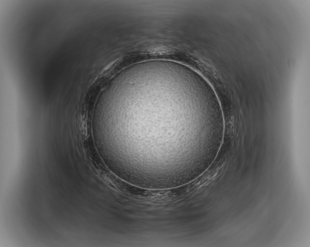 X0000116561205200912171402