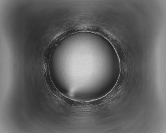 X0000116561206200912171402