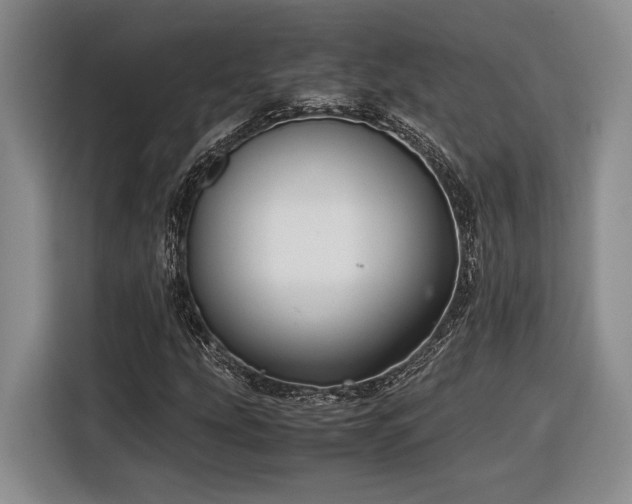 X0000116561207200912171402