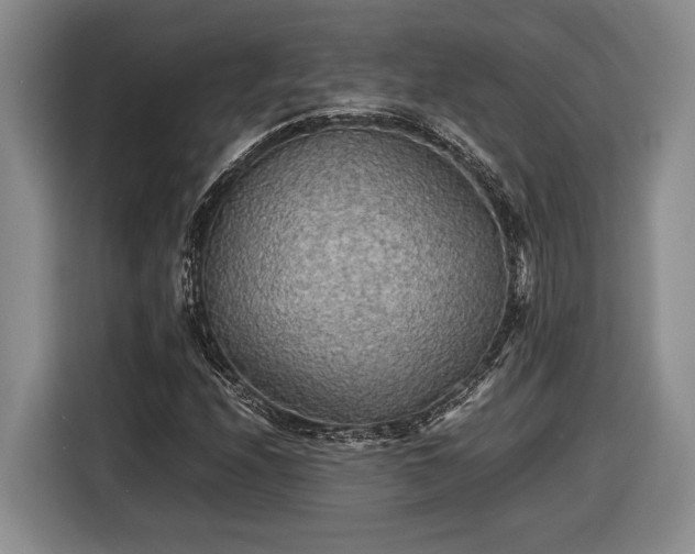 X0000116561208200912171402