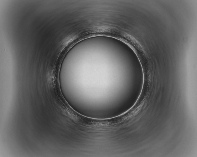 X0000116561210200912171402