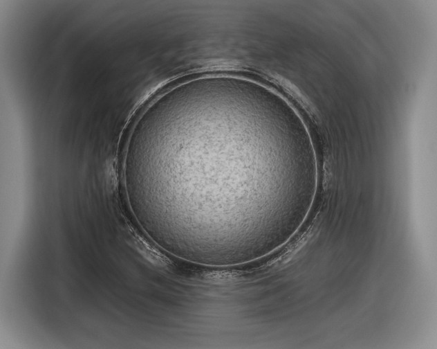 X0000116561212200912171402