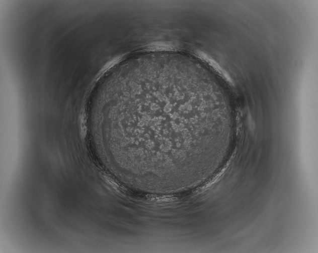 X0000116561213200912171402