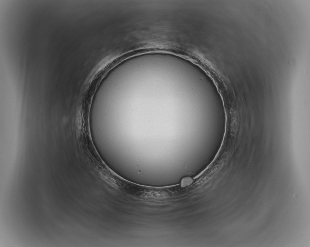 X0000116561215200912171402