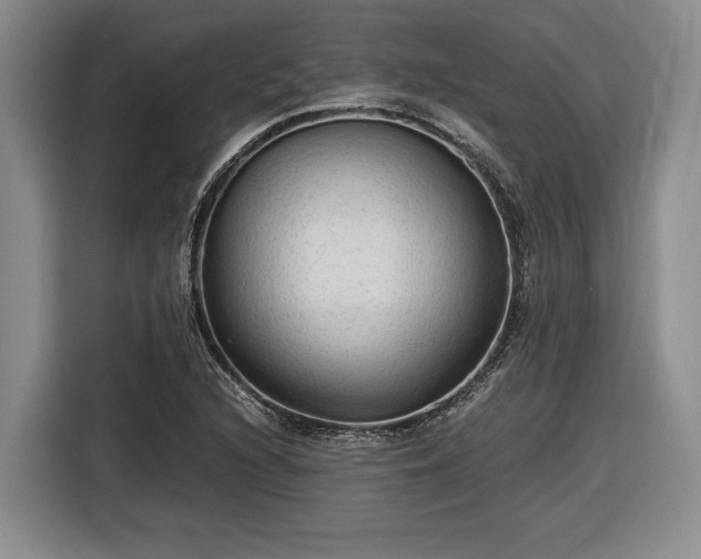 X0000116561216200912171403