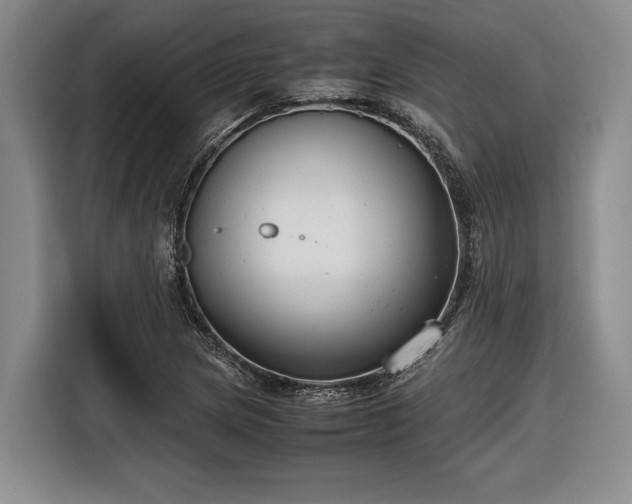 X0000116561217200912171403