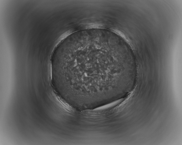 X0000116561219200912171403