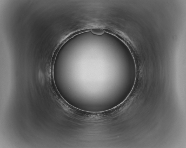 X0000116561220200912171403