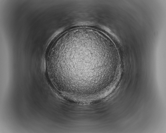 X0000116561221200912171403