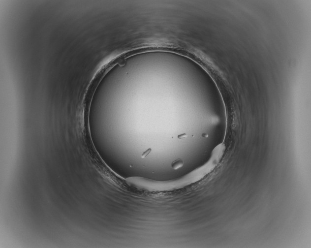 X0000116561222200912171403