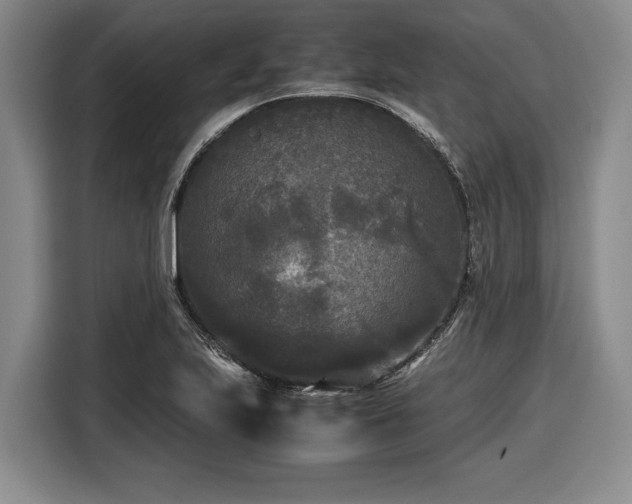 X0000116561223200912171403