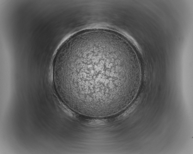 X0000116561224200912171403