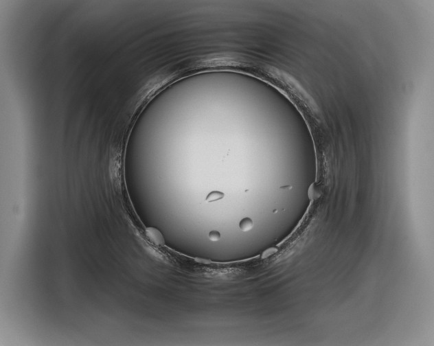 X0000116561225200912171403