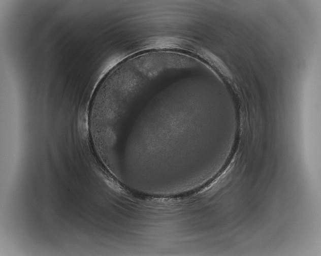 X0000116561226200912171403