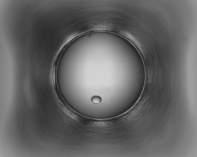 X0000116561227200912171403