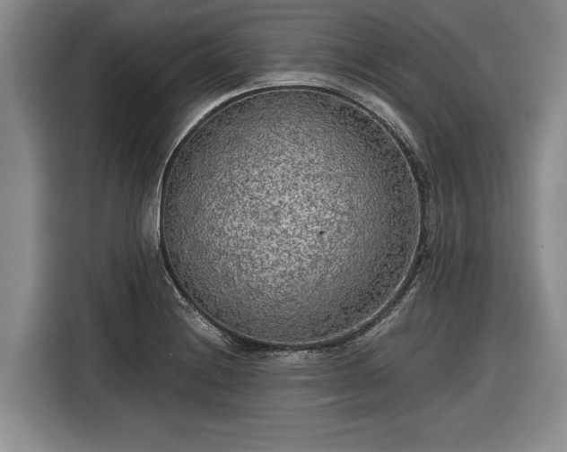 X0000116561228200912171403