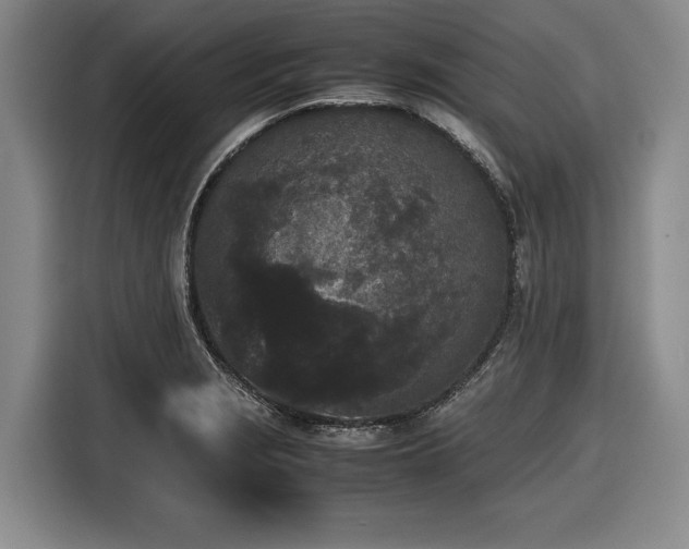 X0000116561229200912171403