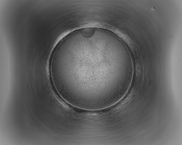 X0000116561230200912171403