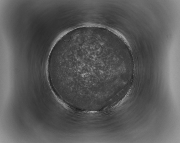 X0000116561231200912171403