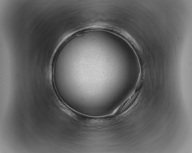 X0000116561232200912171403