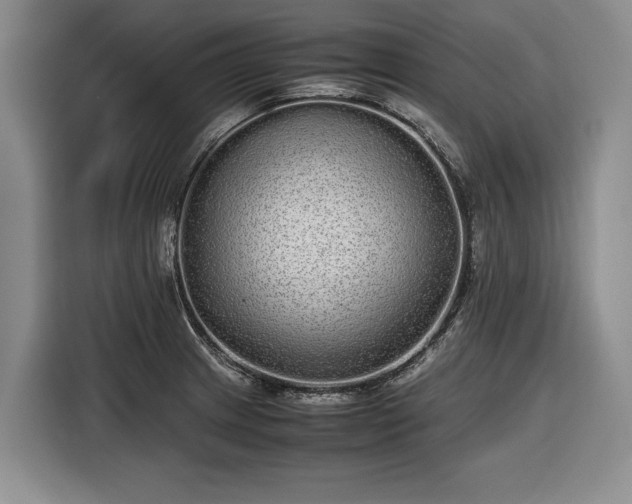 X0000116561233200912171403