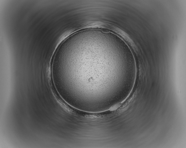 X0000116561234200912171403