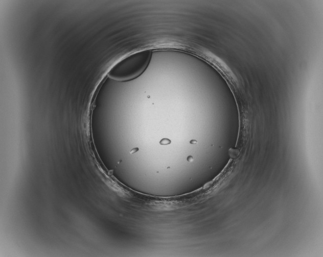 X0000116561236200912171403