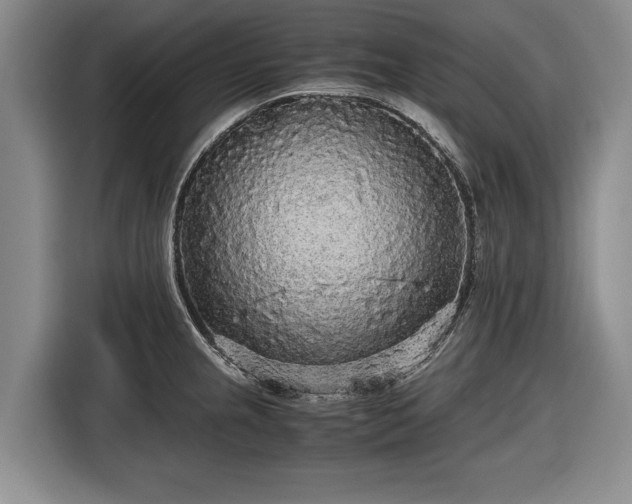 X0000116561237200912171403