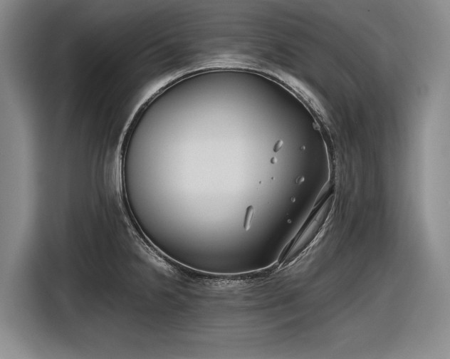 X0000116561238200912171403