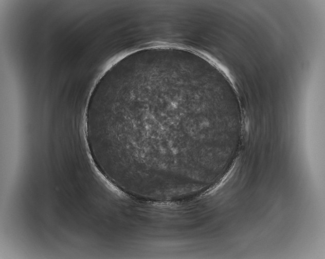 X0000116561239200912171403