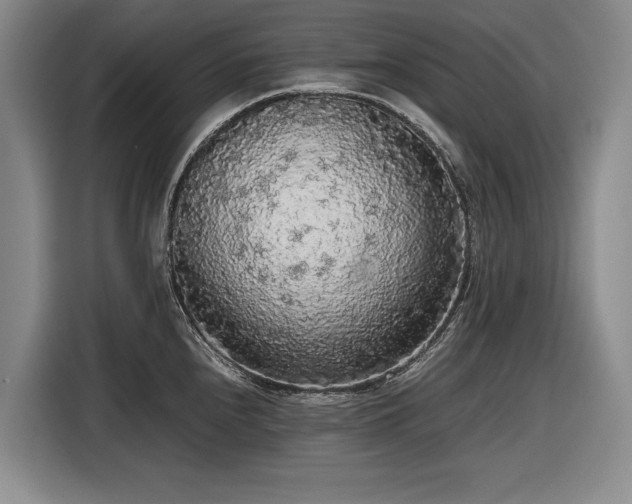 X0000116561240200912171403