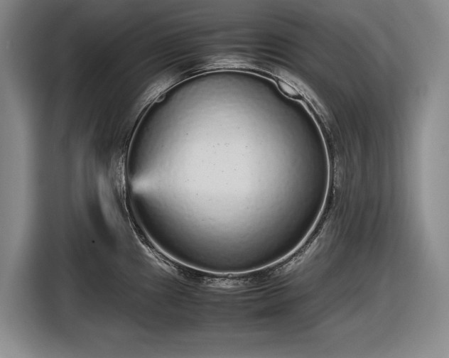 X0000116561241200912171403